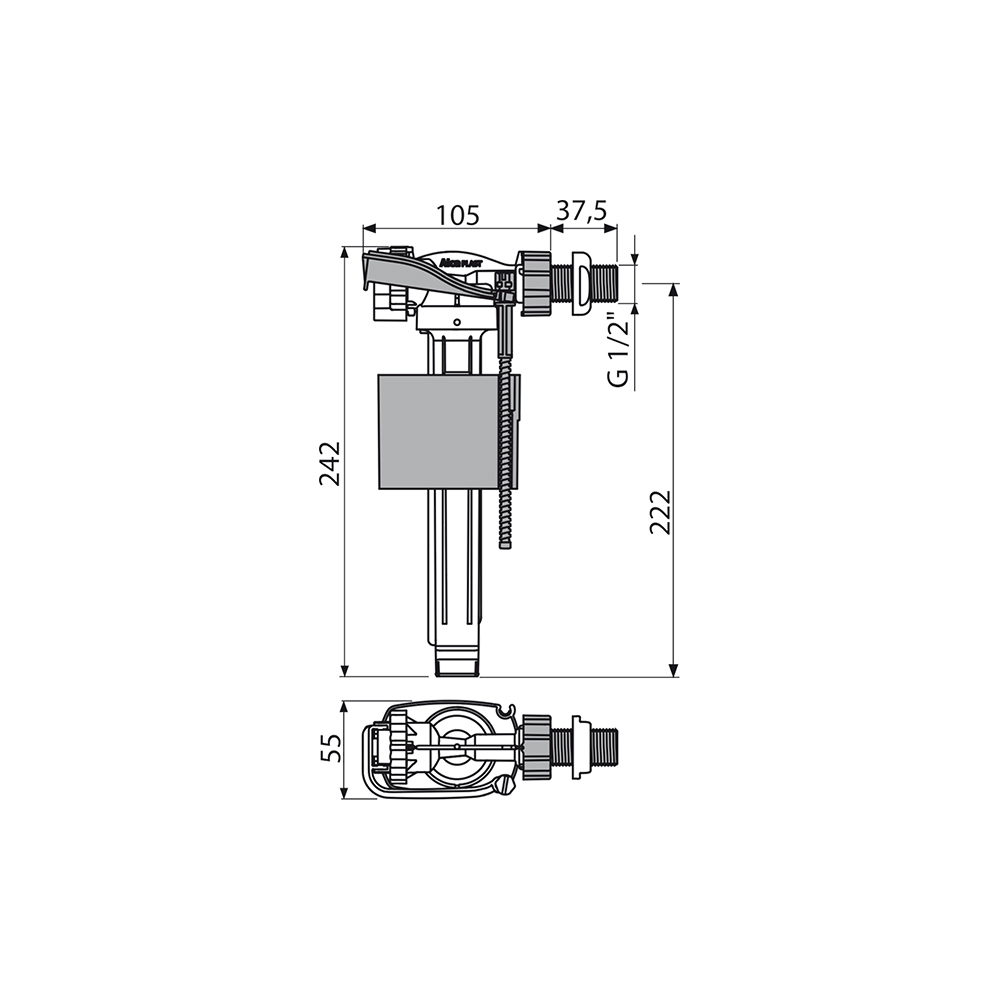 multifile_3243_A160_1_2_koty_.jpg
